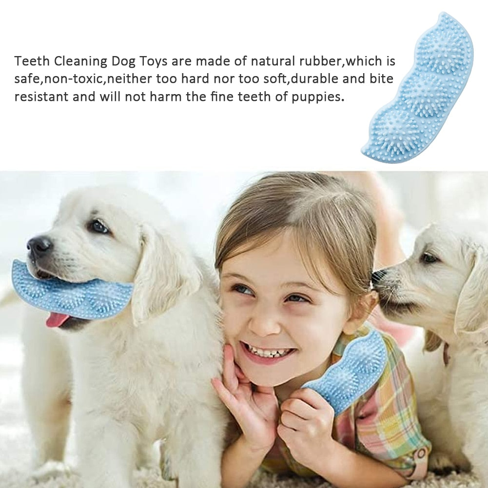 New Pet Chew Interaction Toy