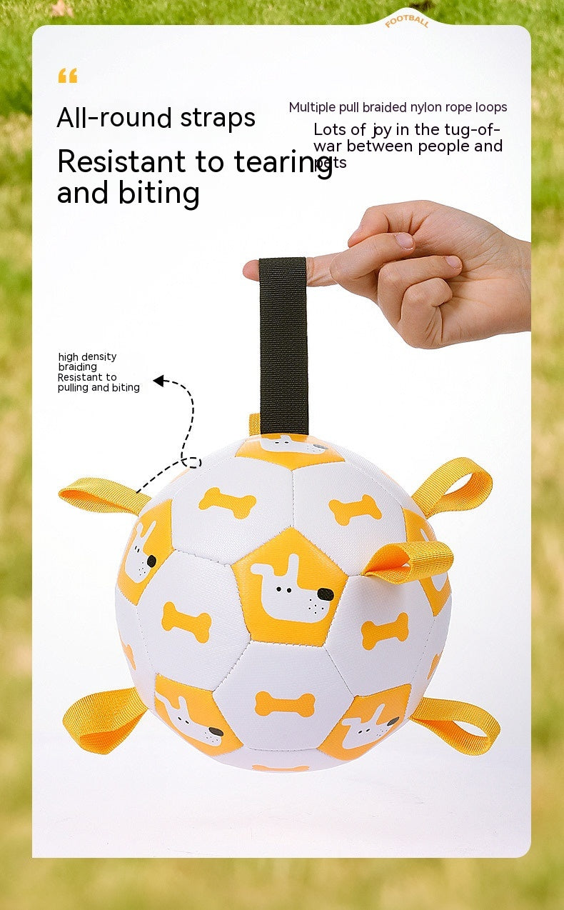 Dog Interactive Football Toys