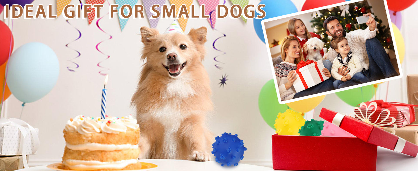 Ideal Gift for Small Dogs - Pomeranian at Birthday Party with Cake, Family Photo, Yellow and Blue Spiky Balls as Perfect Gift