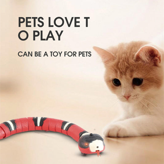 Orange Kitten Playing with Red Snake Toy - Pets Love Interactive Robotic Toy Demonstration