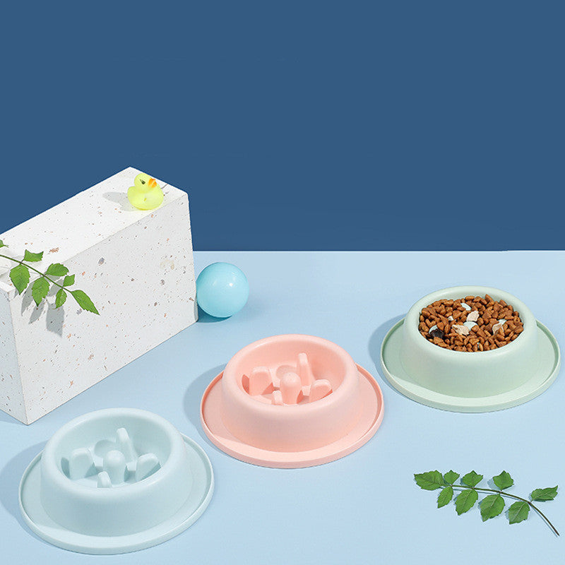 Three Color Options - Light Blue, Pink, Mint Green Slow Feeder Bowls with Maze Design, One Filled with Kibble