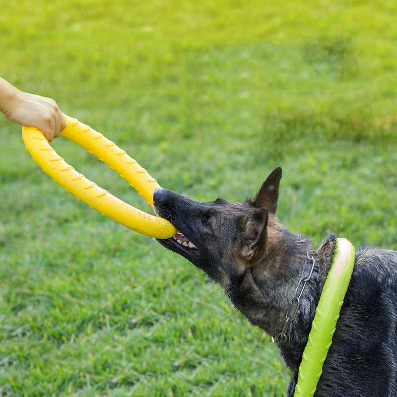 Dog Pull Ring Training Toy