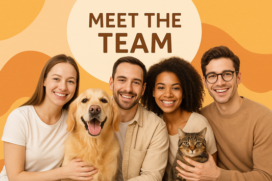 Our Story - Professional Because We Care