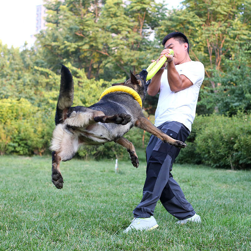 Dog Pull Ring Training Toy