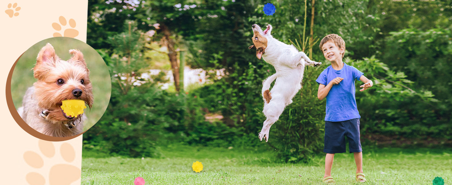 Dog Toy Balls
