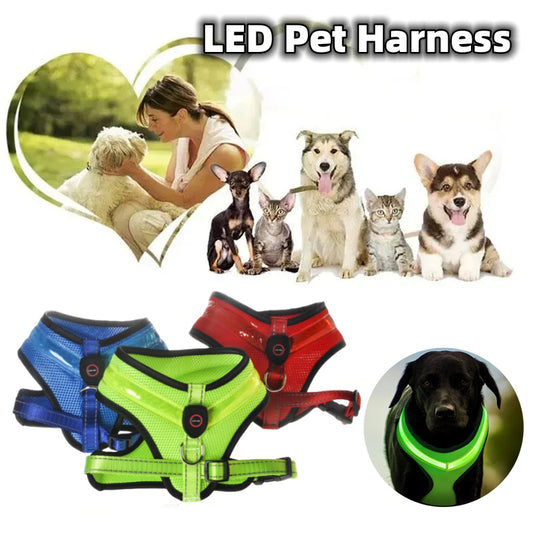 Luminous Dog  Harness Leash