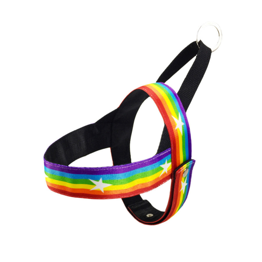 Rainbow dog leash