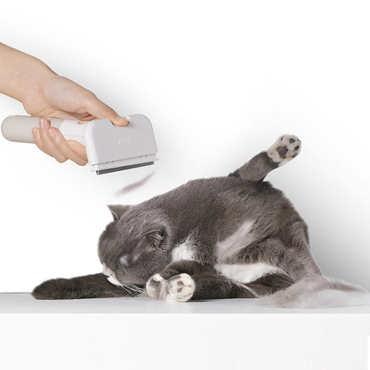 Pet Removal Comb