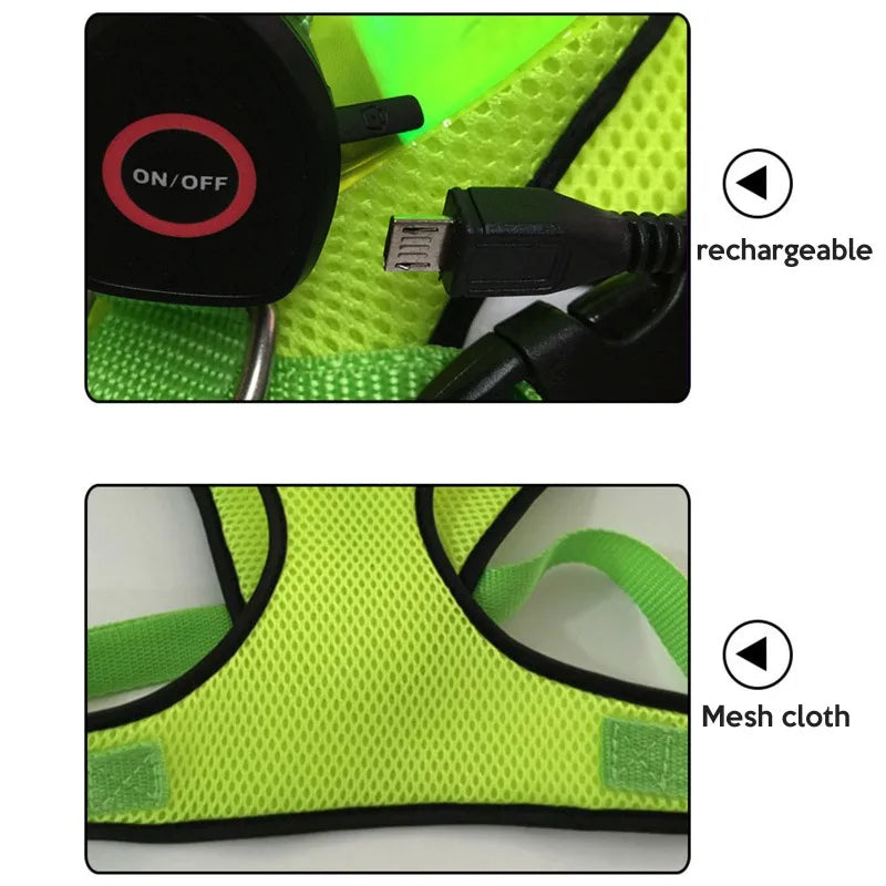 Luminous Dog  Harness Leash