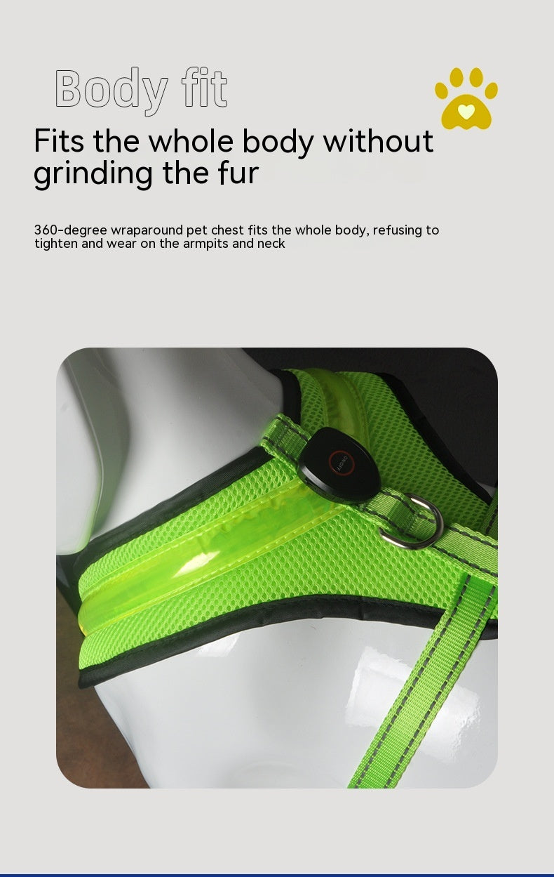 Luminous Dog  Harness Leash