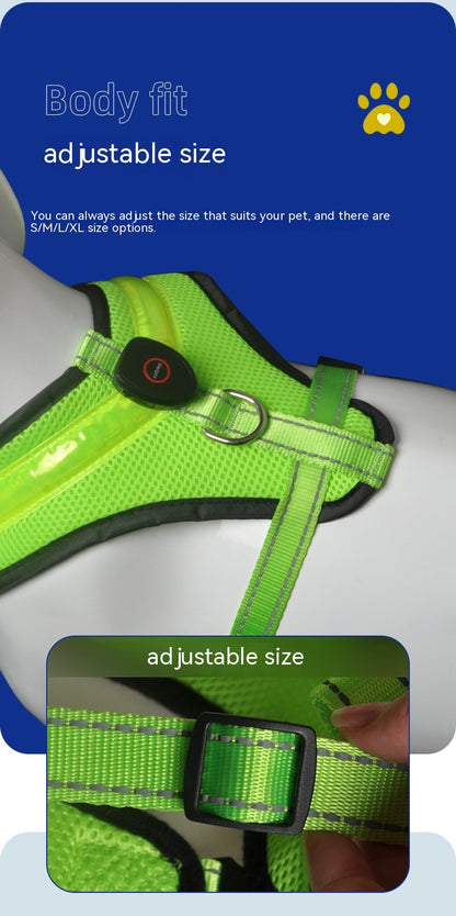 Luminous Dog  Harness Leash