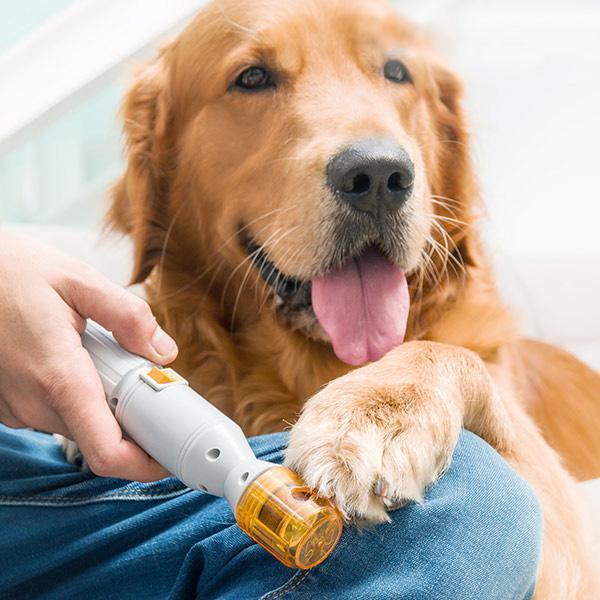 Professional Dog Supplies Nail Clippers