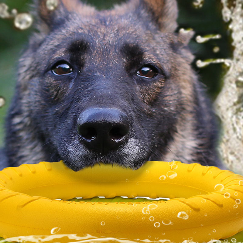 Dog Pull Ring Training Toy