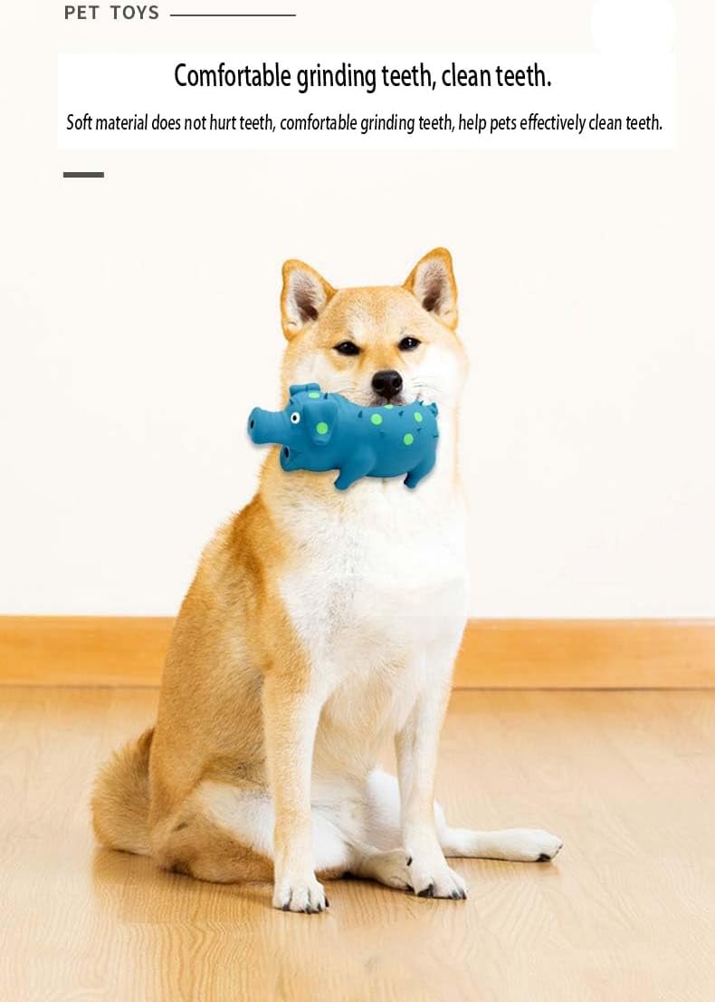 Pet Chew Toys