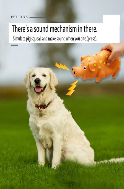 Pet Chew Toys