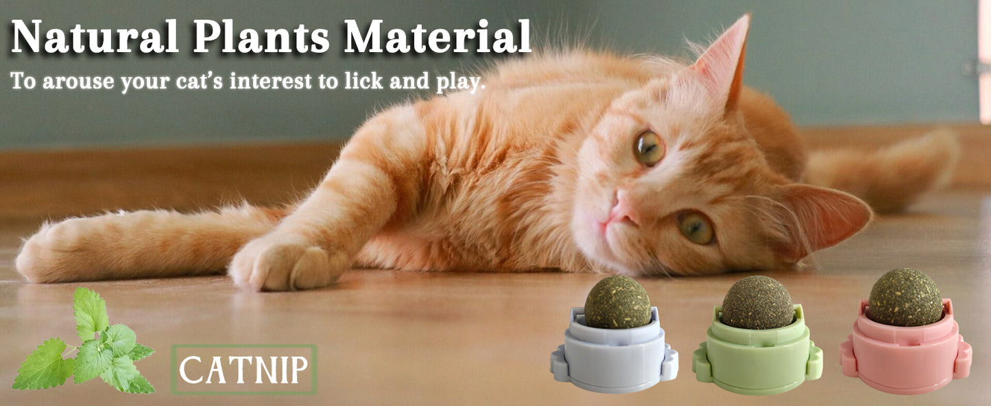 Catnip Ball Snack