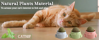 Catnip Ball Snack