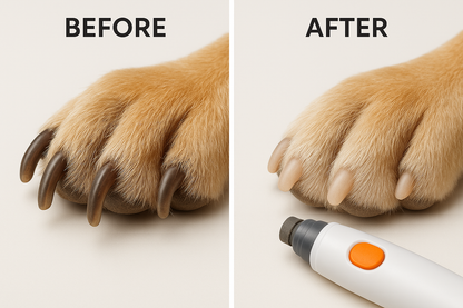 "Dog nail before and after grinding - smooth trimmed nails using electric pet nail grinder"
