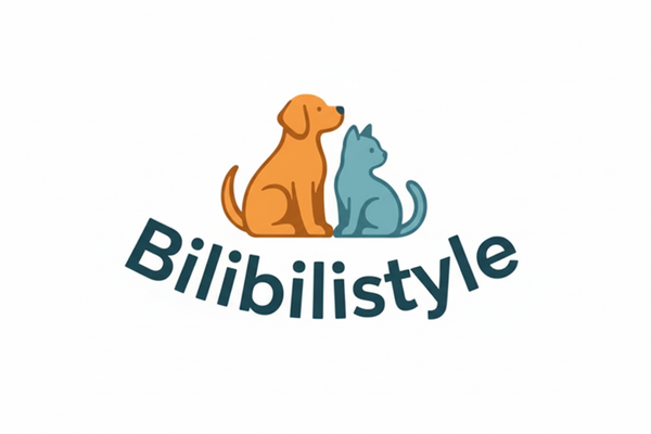 Bilibilistyle Logo Redesigned
