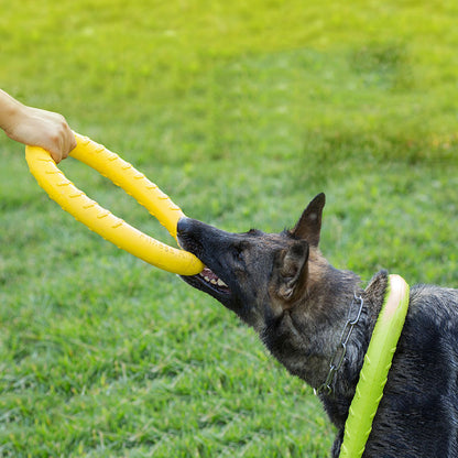 Dog Pull Ring Training Toy
