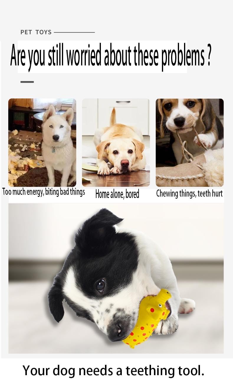 Pet Chew Toys