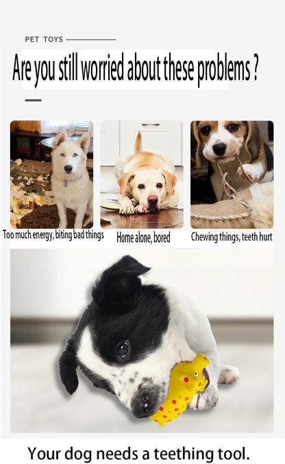 Pet Chew Toys