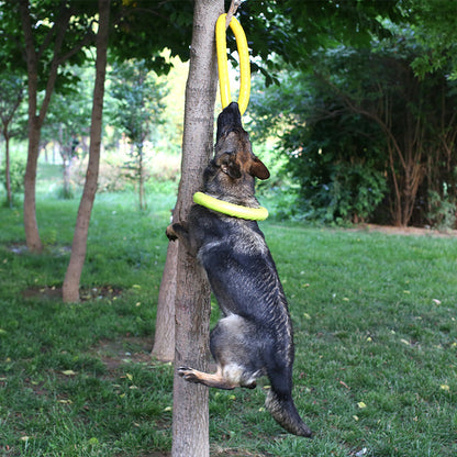 Dog Pull Ring Training Toy