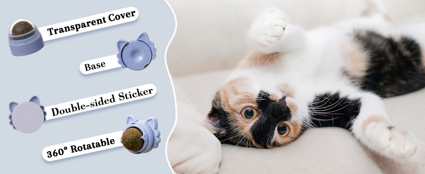 Catnip Ball Snack