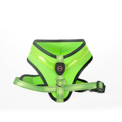Luminous Dog  Harness Leash