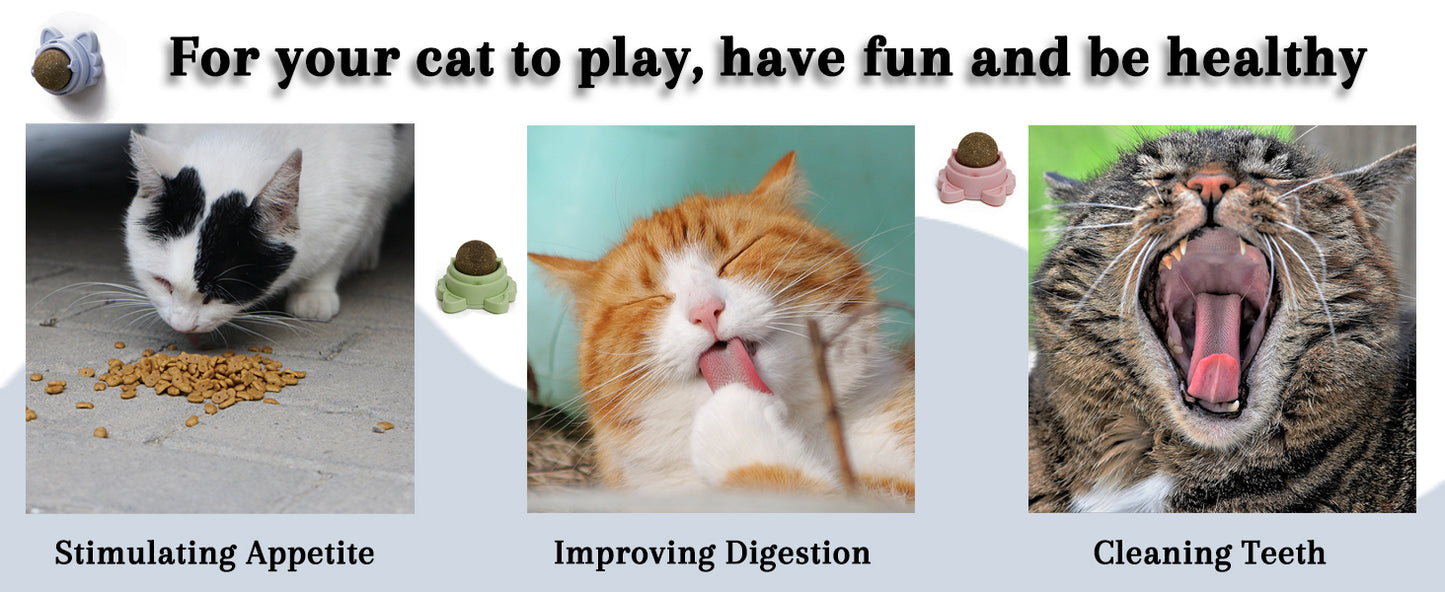 Catnip Ball Snack