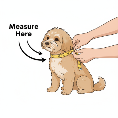 "How to Measure Dog Neck for Bling Collar - Measurement Guide for Perfect Fit"