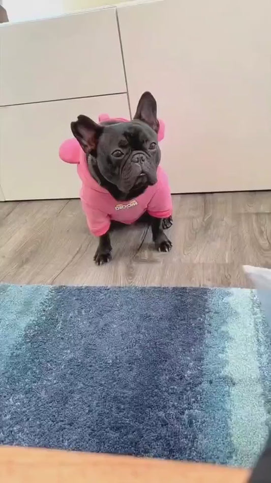 Cat Dog Toy